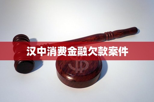 汉中消费金融欠款案件与金融信息技术外包委托的法律解析