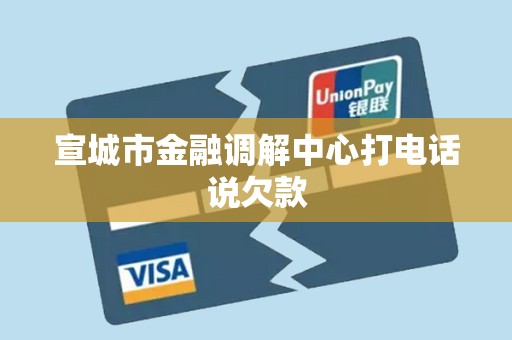 宣城市金融调解中心打电话说欠款