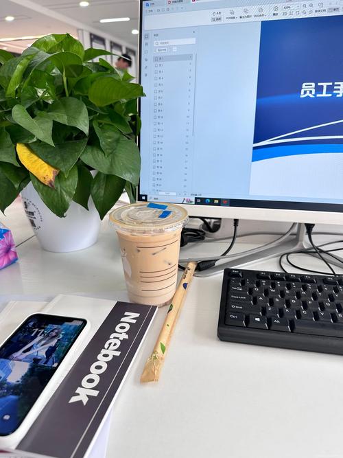 信息咨询服务(不含许可类信息咨询服务),商业综合体管理服务,信息技术