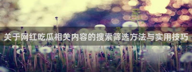 最新吃瓜网：关于网红吃瓜相关内容的搜索筛选方法与实用技巧