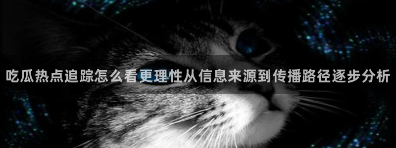 吃瓜网站:吃瓜热点追踪怎么看更理性从信息来源到传播路径逐步分析
