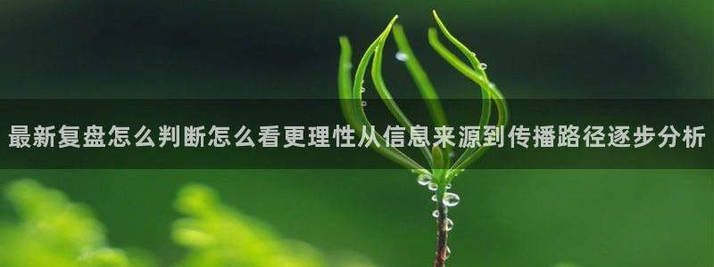 17吃瓜在线：最新复盘怎么判断怎么看更理性从信息来源到传播路径逐步分析