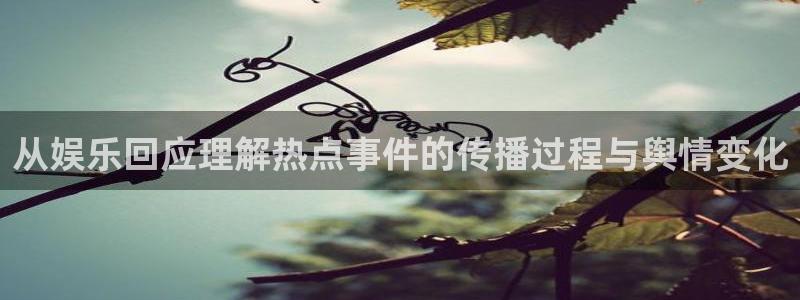 每日吃瓜爆料：从娱乐回应理解热点事件的传播过程与舆情变化