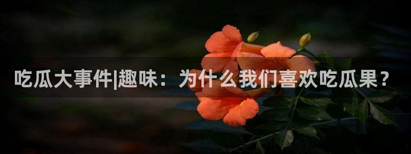 吃瓜黑料在线