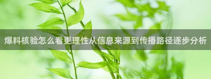 吃瓜群:爆料核验怎么看更理性从信息来源到传播路径逐步分析
